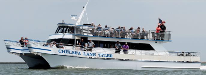 Chelsea Lane Tyler Exterior