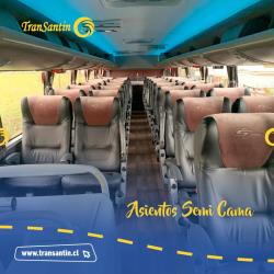 Bus Interior