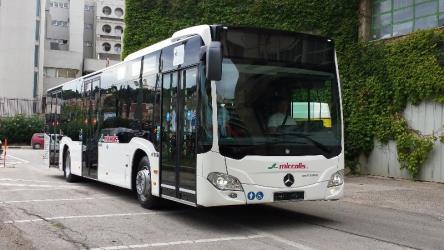 Miccolis bus