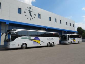 Curcio buses